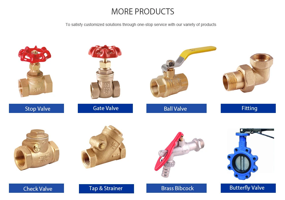 Factory Direct Sales High/Medium/Low Pressure Direct Acting Solenoid Valve