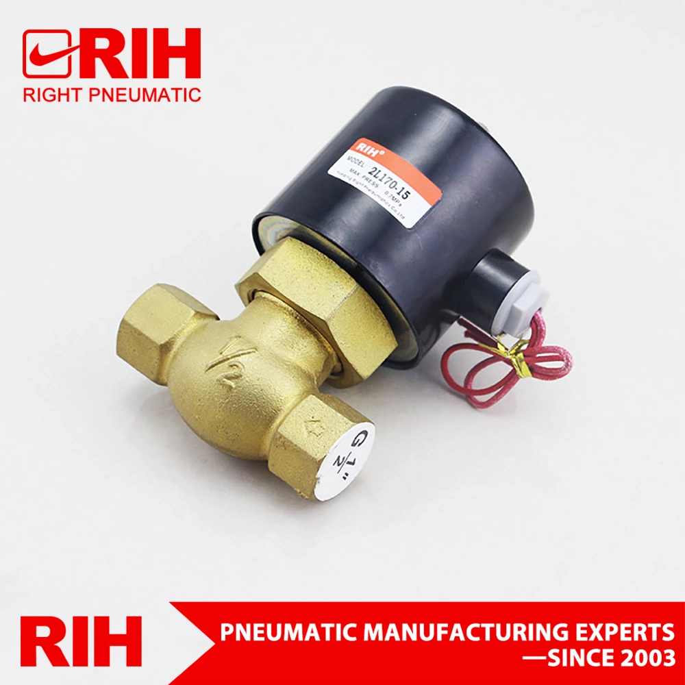 Rih 2L Series 2 Way High Temperature Water Steam Solenoid Valves