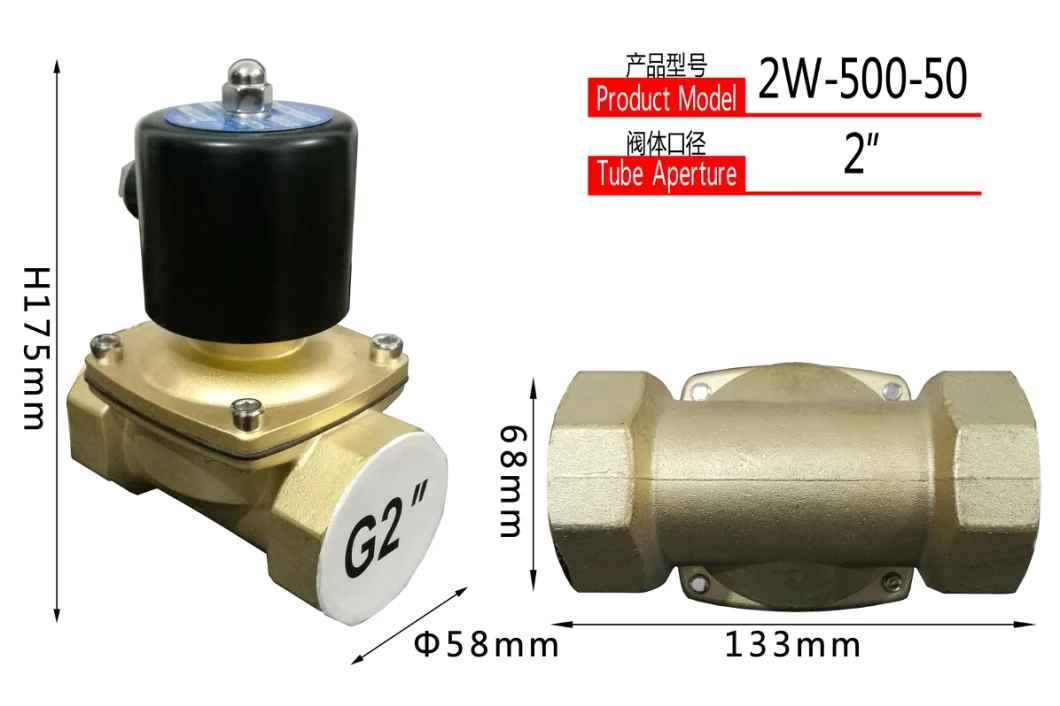 2W-500-50 Water Fountain Solenoid Valve Underwater Cu Alloy Valve Body