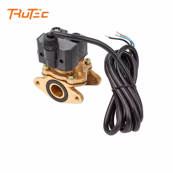 Pièces de distributeur de carburant Électrovanne antidéflagrante (A2F-B)